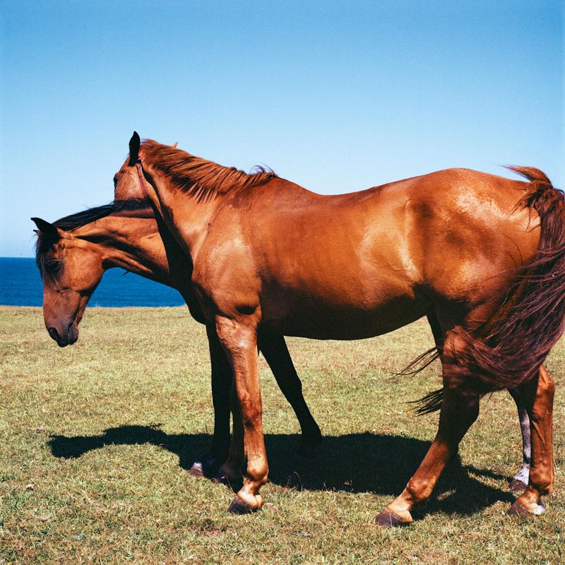 © Brenda Moreno - Image from the B to B photography project