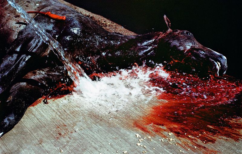 © Brenda Moreno - Image from the B to B photography project