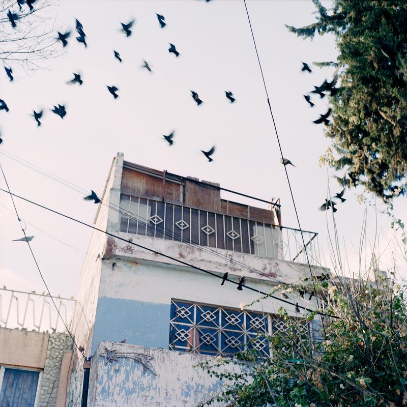 © Brenda Moreno - Image from the B to B photography project