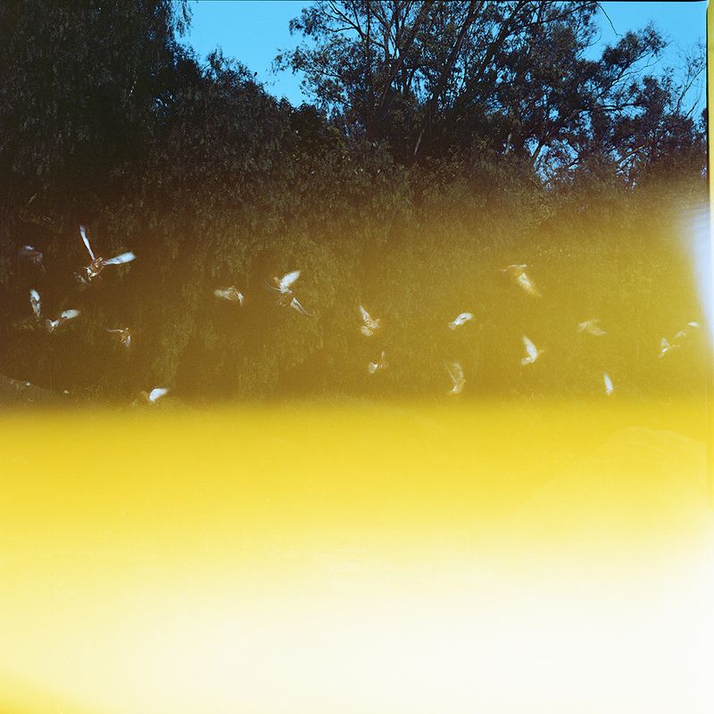 © Brenda Moreno - Image from the CABALLITO photography project