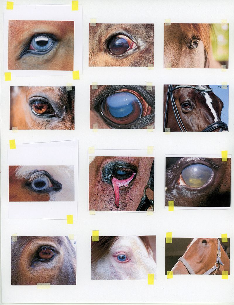 © Brenda Moreno - Image from the CABALLITO photography project