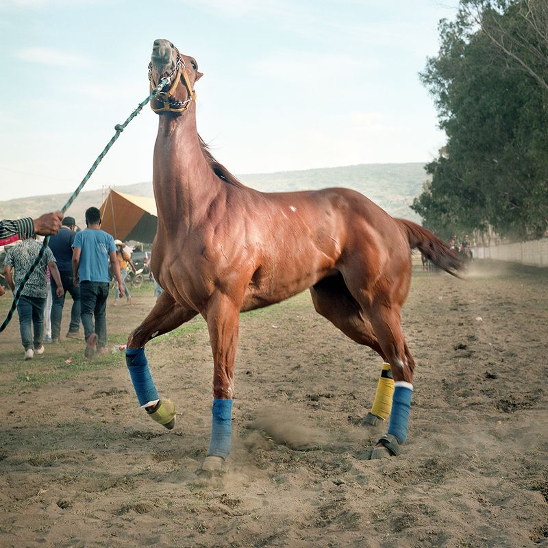 © Brenda Moreno - Image from the CABALLITO photography project