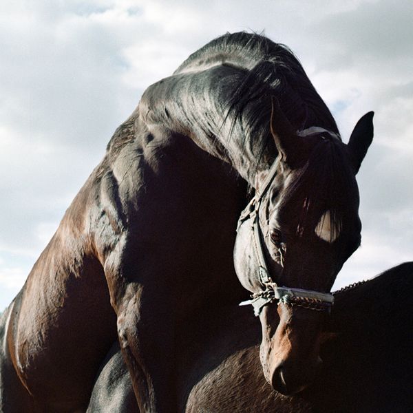 © Brenda Moreno - Image from the CABALLITO photography project