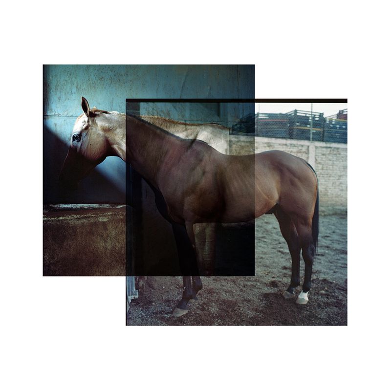 © Brenda Moreno - Image from the CABALLITO photography project