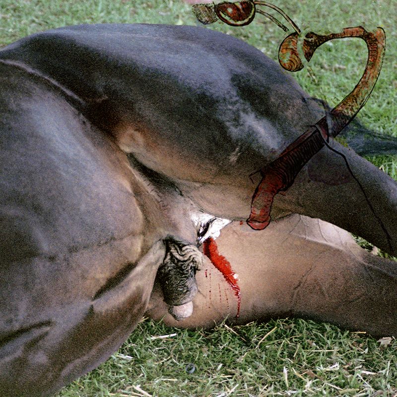 © Brenda Moreno - Image from the CABALLITO photography project