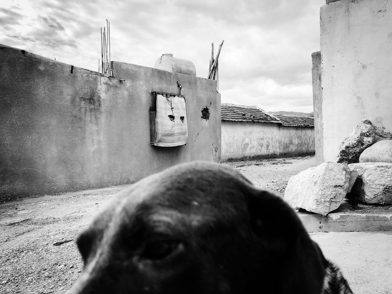 © Fethi Sahraoui - Image from the The Wind that Shakes Dreams photography project