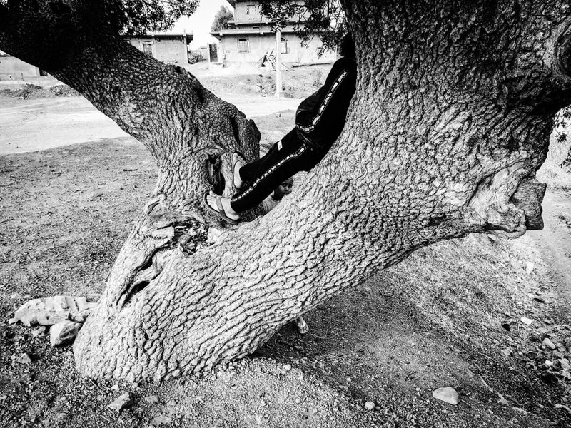 © Fethi Sahraoui - A young boy playing with his sister while sitting on a tree, Kahwet El Rih, Algeria, 2020