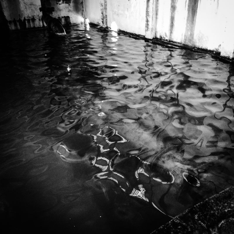 © Fethi Sahraoui - Image from the Escaping the heatwave photography project