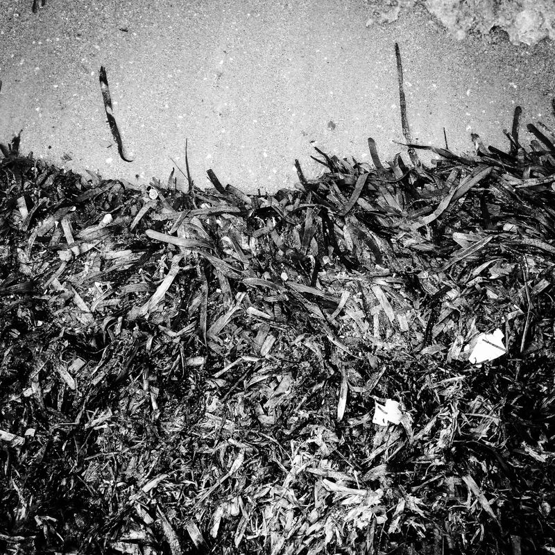 © Fethi Sahraoui - Image from the Escaping the heatwave photography project