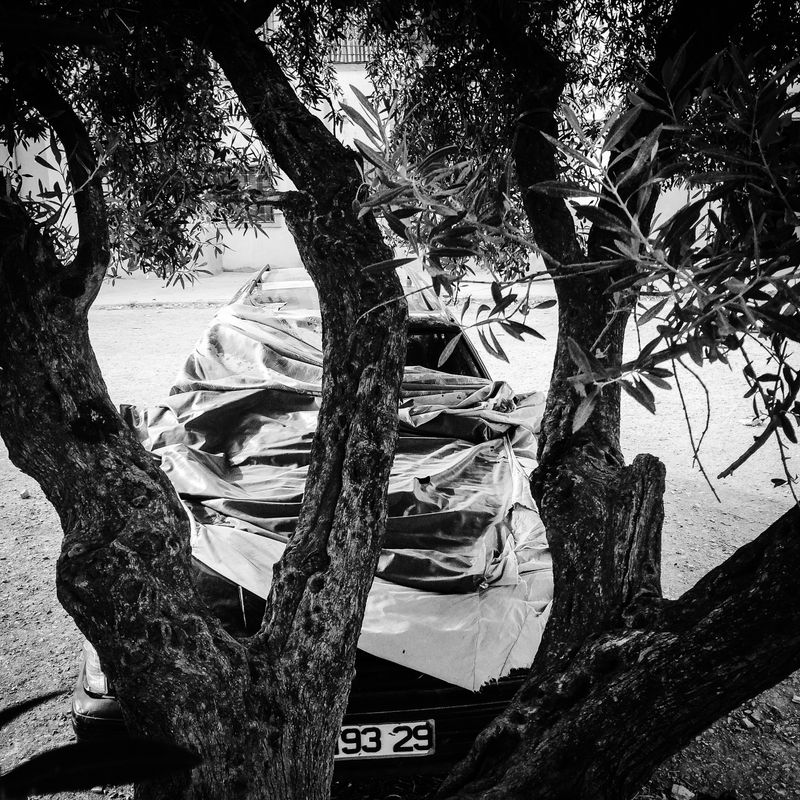 © Fethi Sahraoui - Image from the Escaping the heatwave photography project