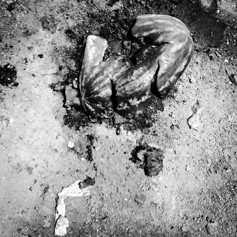 © Fethi Sahraoui - Image from the Escaping the heatwave photography project