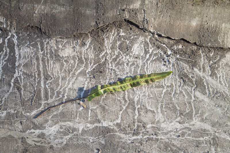 © Nathalie DEPOSE - Image from the The Border photography project