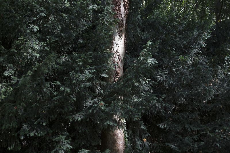 © Nathalie DEPOSE - Image from the The Border photography project