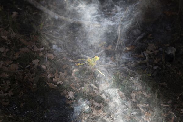 © Nathalie DEPOSE - Image from the The Border photography project