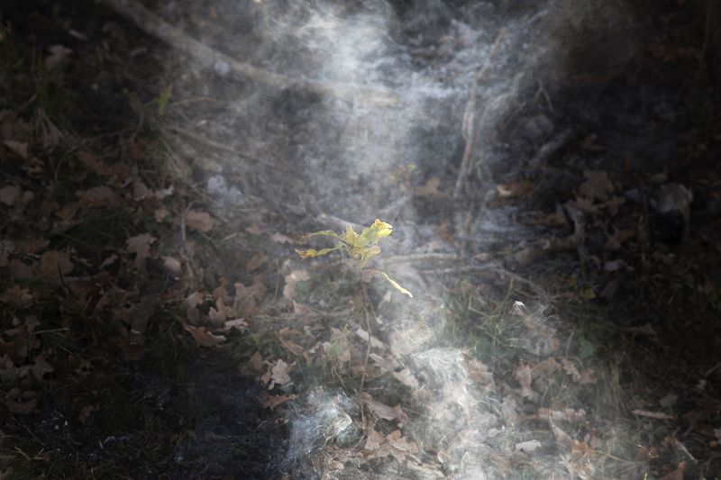 © Nathalie DEPOSE - Image from the The Border photography project