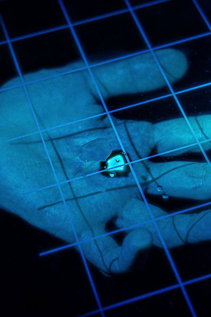 © Marcin Plonka - May potential of AI lead to creation of new biological life not yet present on Earth?