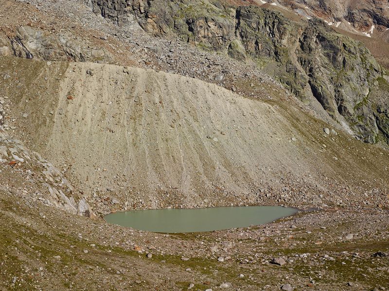 © Mattia Paladini - Natural buffer on the glacial moraine. "Verra Glacier" Val D'Ayas 3100m slm.