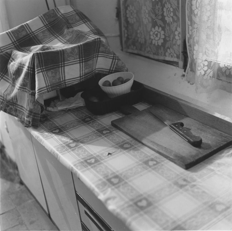 © NICOLE MARCHI - freshly picked eggs