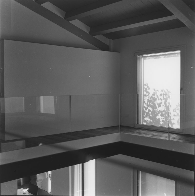 © NICOLE MARCHI - my mom's house and the shadow of our mulberry. (2017)