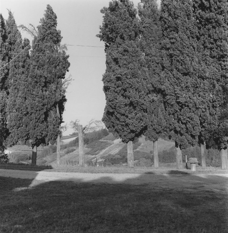 © NICOLE MARCHI - the cottage of my great grandmother (2017)