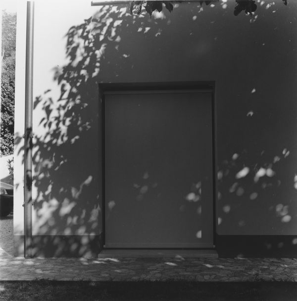 © NICOLE MARCHI - my mom's house and the shadow of our mulberry. (2017)