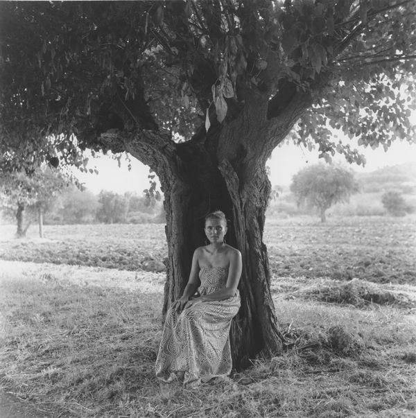 © NICOLE MARCHI - portrait of my mother inside a mulberry tree trunk (2017)