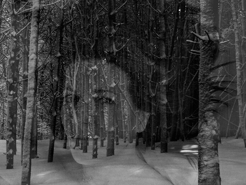 © Kerry Payne Stailey - Image from the My Father's Daughter photography project