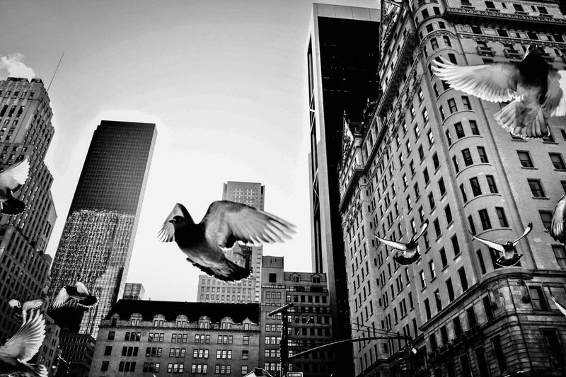 © Kerry Payne Stailey - Image from the My Father's Daughter photography project