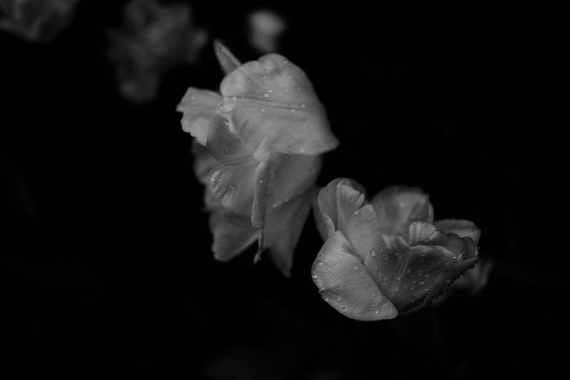 © Kerry Payne Stailey - Image from the My Father's Daughter photography project