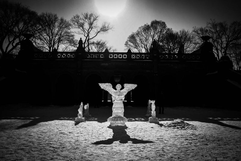 © Kerry Payne Stailey - Image from the My Father's Daughter photography project