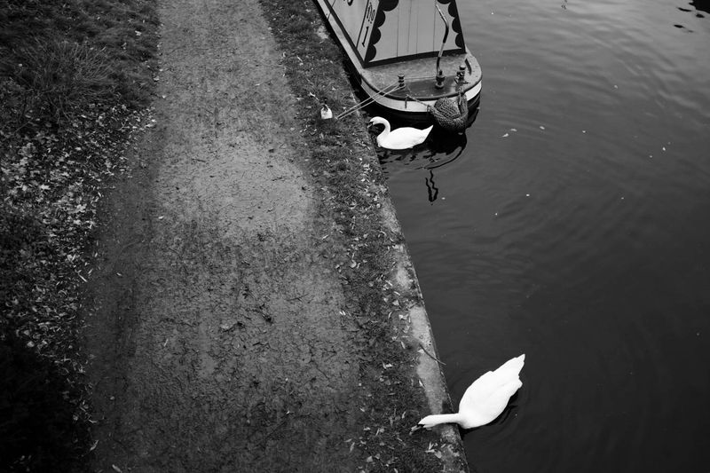 © Kerry Payne Stailey - Image from the My Father's Daughter photography project
