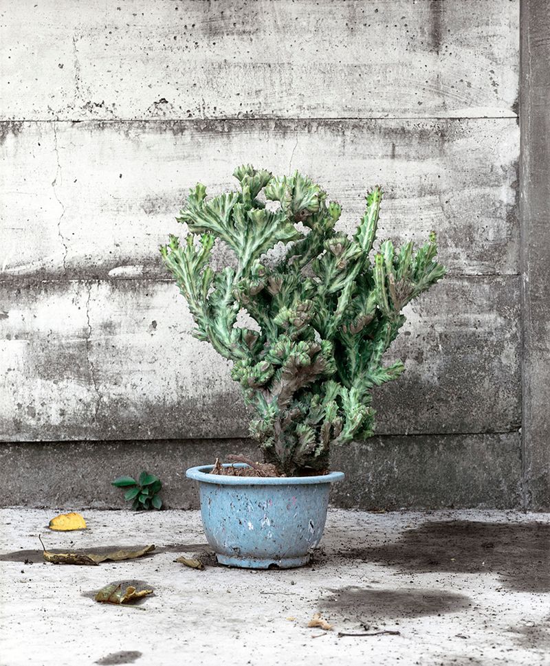 © Matija Brumen - Image from the Tainan fiction photography project