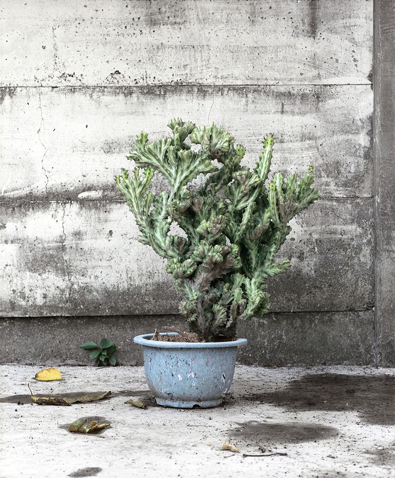 © Matija Brumen - Image from the Tainan fiction photography project