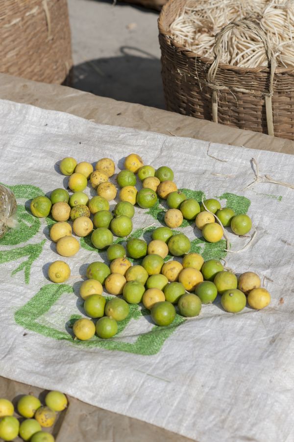 © Matija Brumen - Lemons and limes