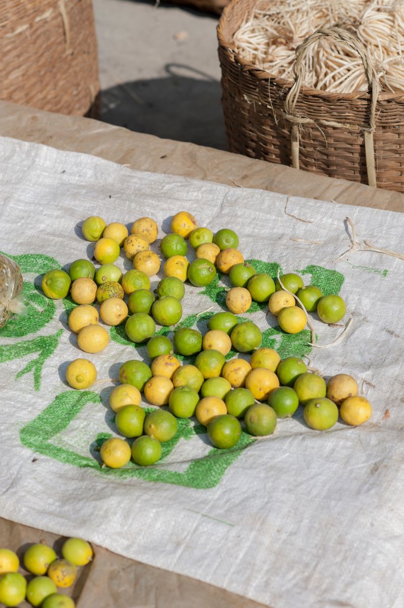 © Matija Brumen - Lemons and limes