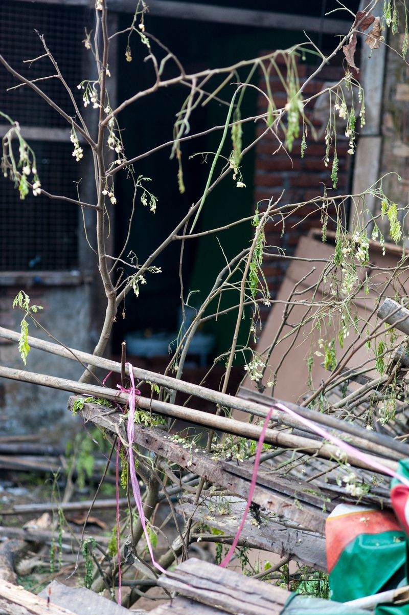 © Matija Brumen - Courtyard detail