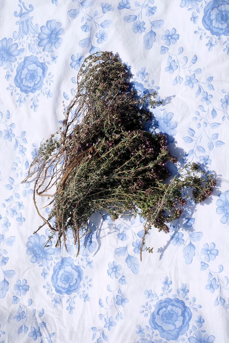 © Camille Carbonaro - Image from the My mother, the source photography project