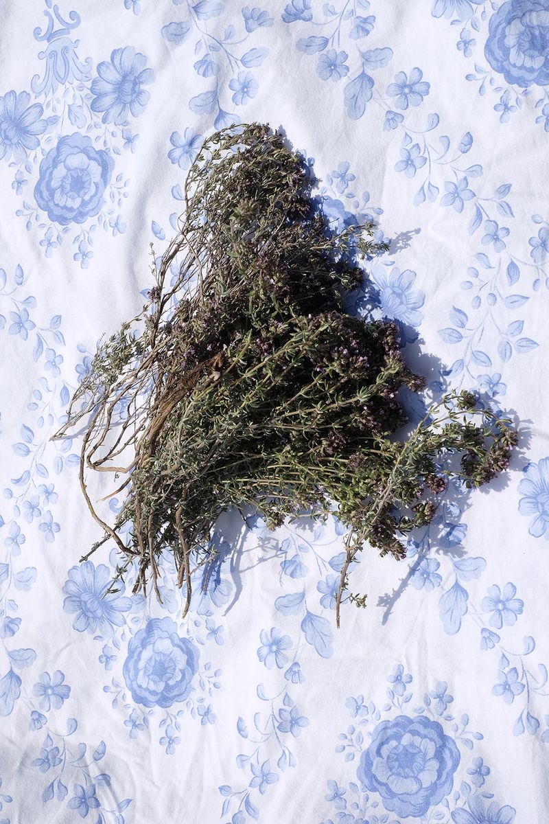 © Camille Carbonaro - Image from the My mother, the source photography project