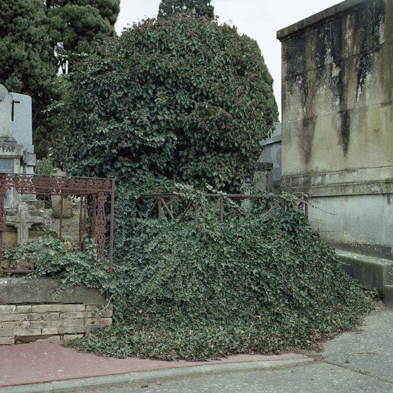 © Camille Carbonaro - Image from the Call me Victoria photography project