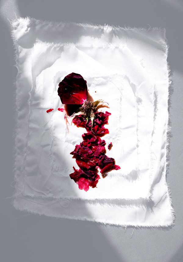 © Ana Espinal - #1