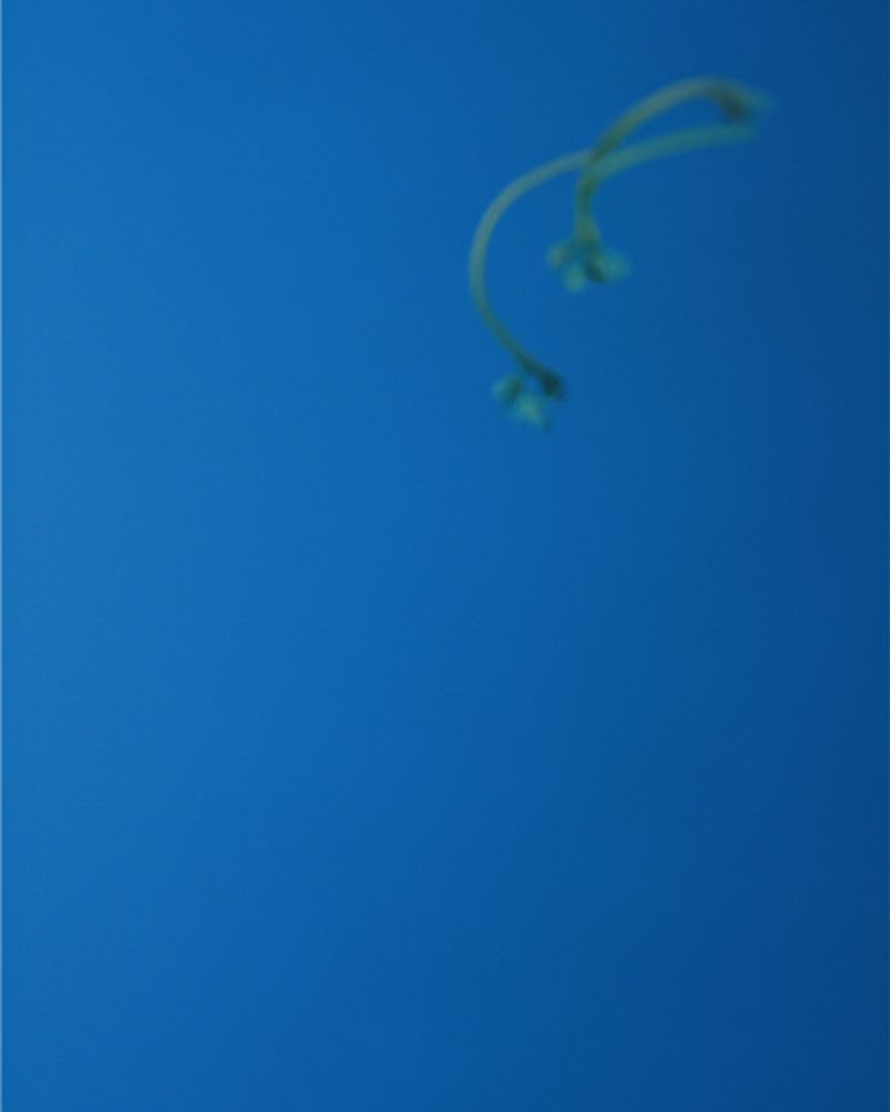 © Fabrizio H. Pacheco - Image from the A structure of ice watches over a passage, absorbed into its mass photography project