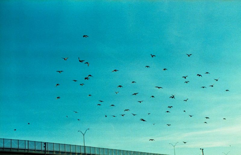 © David Peinado Romero - Image from the Migrating Unaware photography project