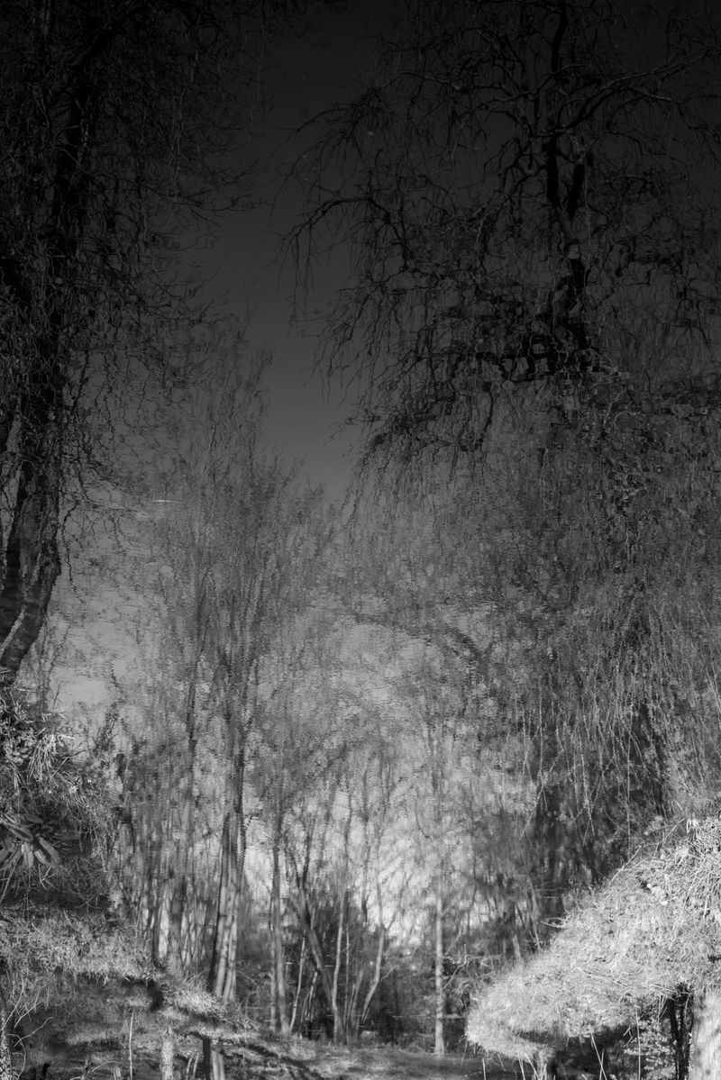 © Chris Lee - Image from the After Nature photography project