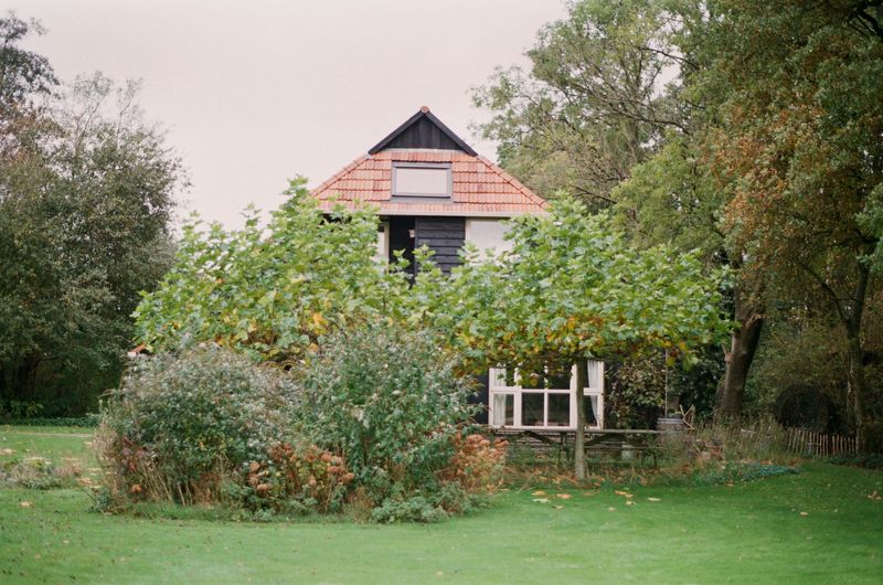 © Chris Lee - Image from the Willow photography project