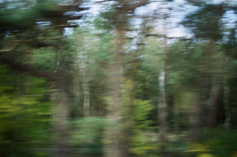 © Chris Lee - Image from the Willow photography project