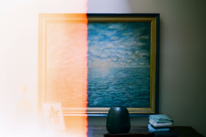 © Chris Lee - Image from the Willow photography project