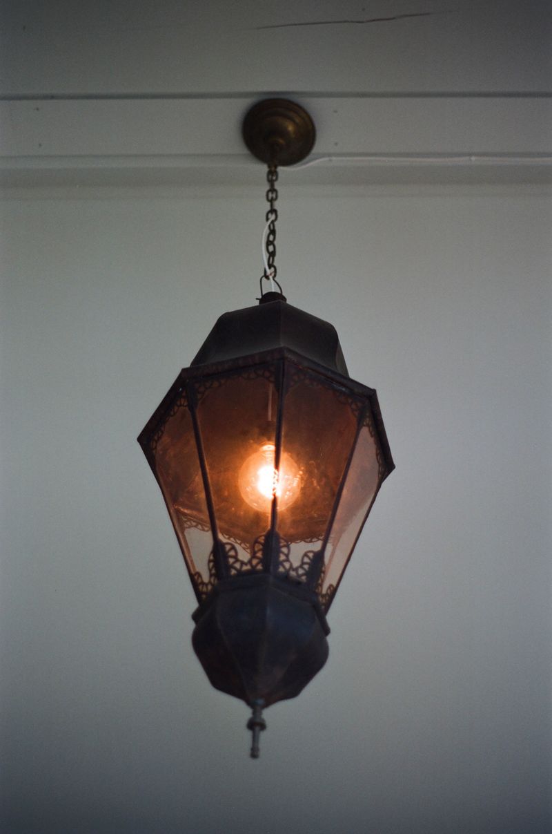 © Chris Lee - Image from the Willow photography project