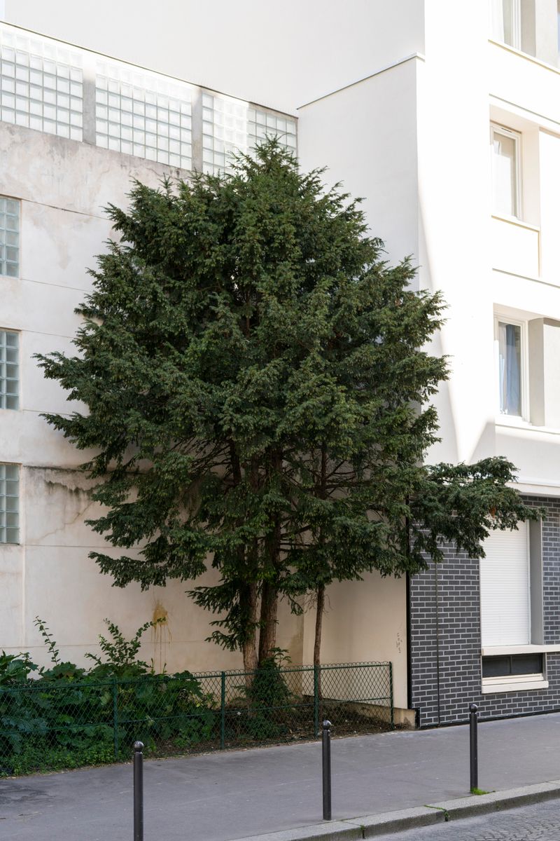 © Chris Lee - Image from the The Nature of Nature photography project