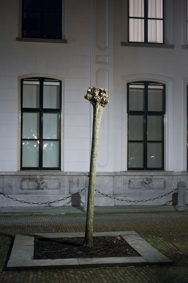 © Chris Lee - Image from the The Nature of Nature photography project