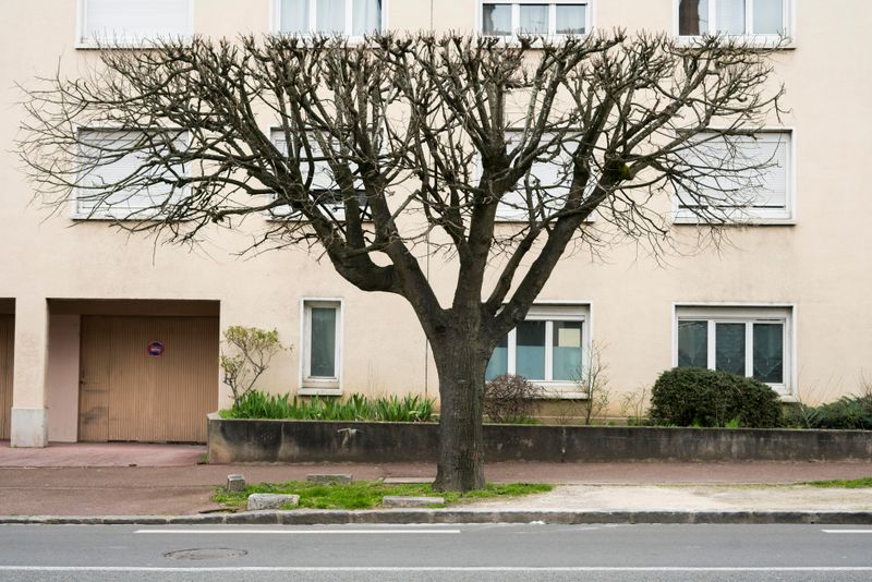 © Chris Lee - Image from the The Nature of Nature photography project